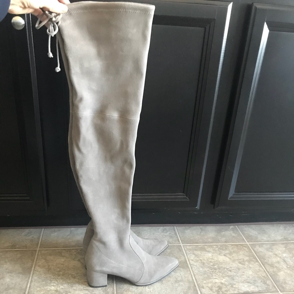 Stuart Weitzman Thighland Boots - Topo Suede - Picture 7 of 8